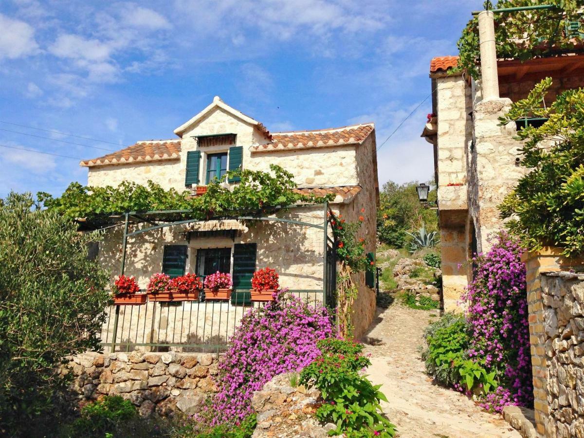House Dobrila Villa Igrane Ngoại thất bức ảnh